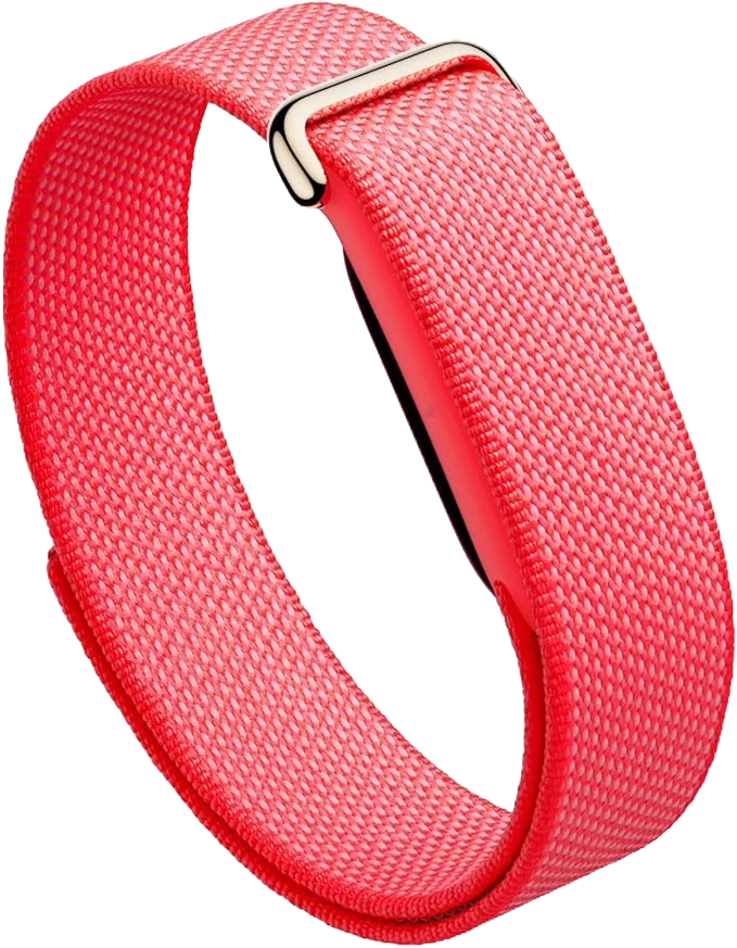 Product photo: Google Fitbit Air